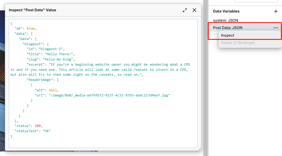 Browser developer tools showing the Flotiq API response structure